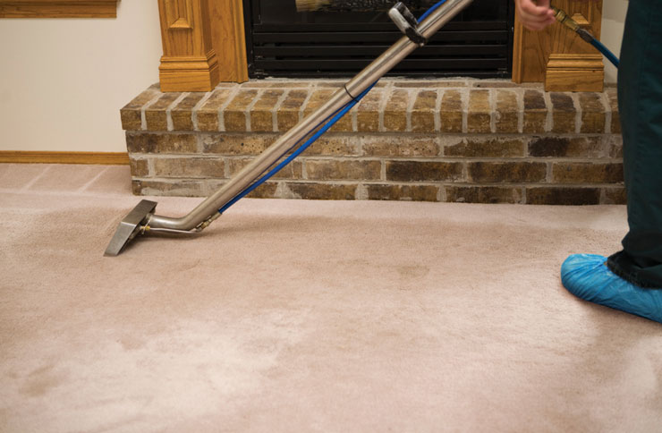 Carpet Cleaning Brisbane